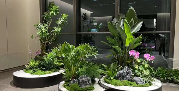 景观搭配成功展示